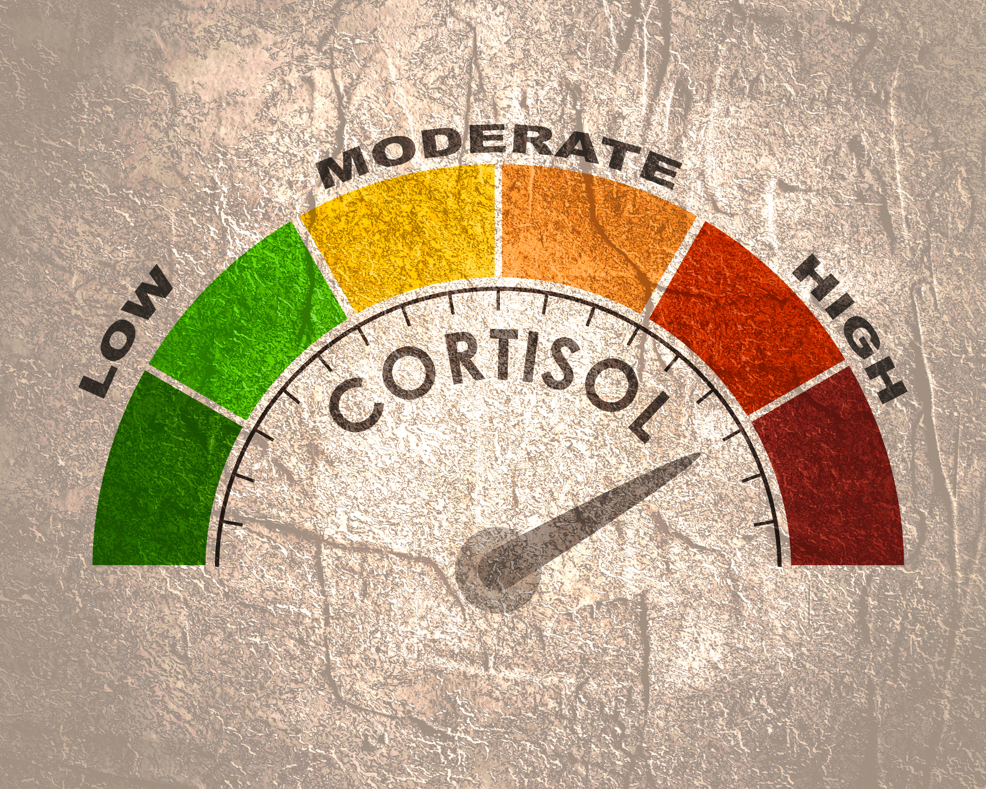 Kortizol je pri čisto vsakemu človeku zelo pomembna